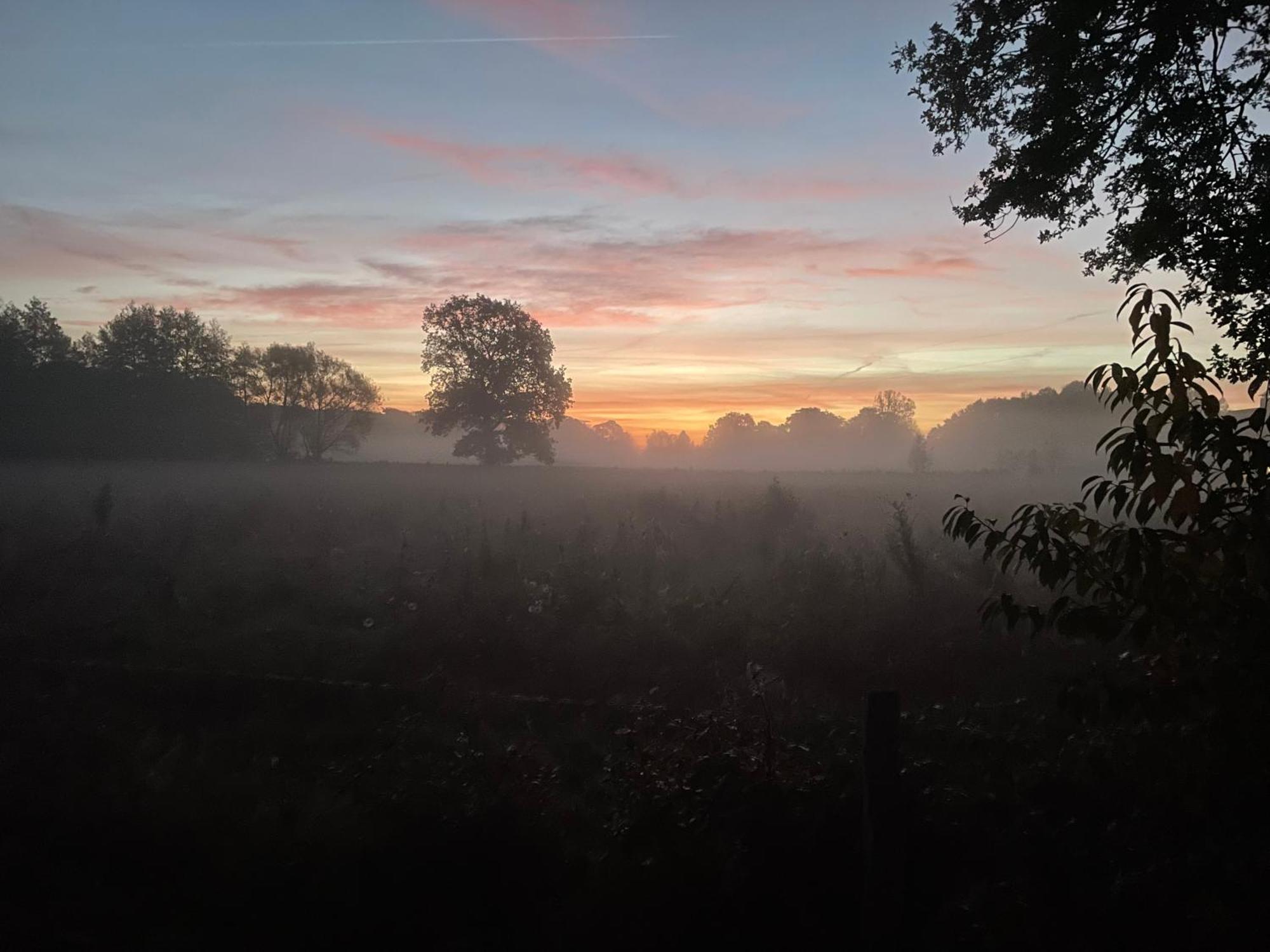 De Postelhoek B&B Oud-Ootmarsum ภายนอก รูปภาพ