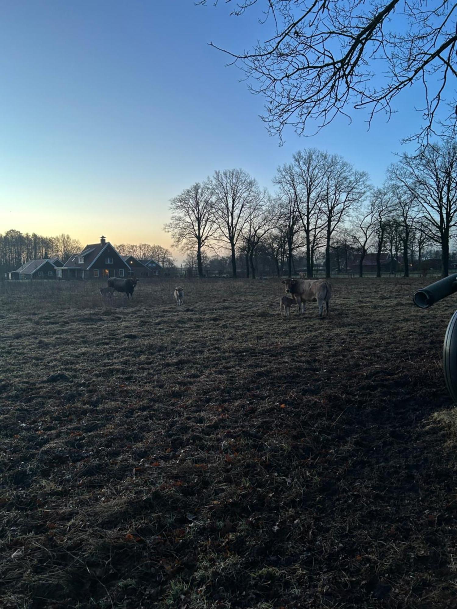 De Postelhoek B&B Oud-Ootmarsum ภายนอก รูปภาพ
