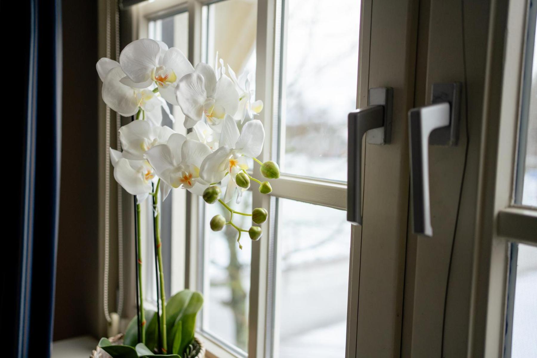 De Postelhoek B&B Oud-Ootmarsum ภายนอก รูปภาพ