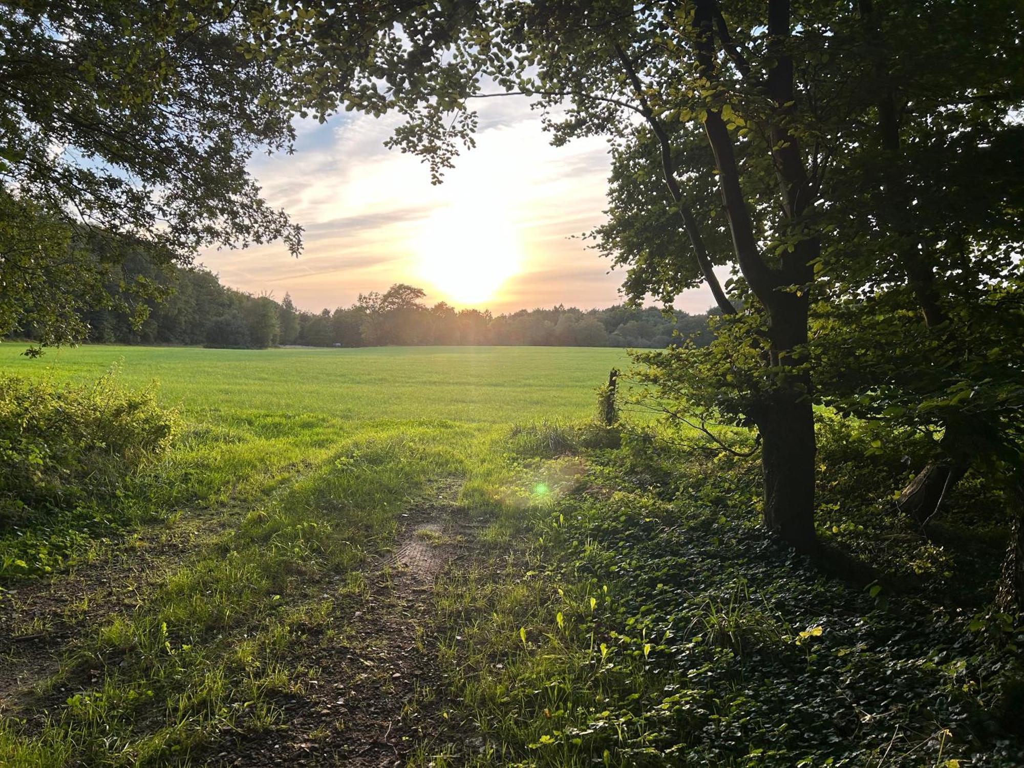 De Postelhoek B&B Oud-Ootmarsum ภายนอก รูปภาพ